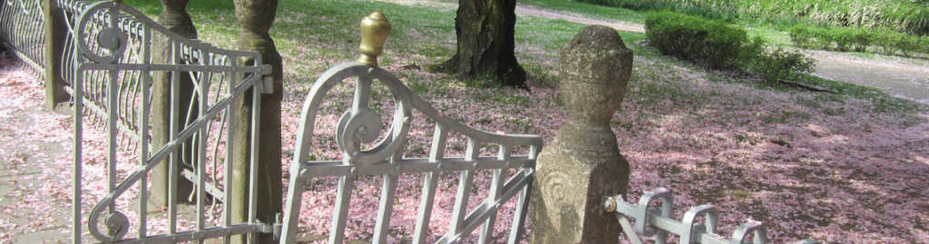 Psykoterapi I Heartweaver