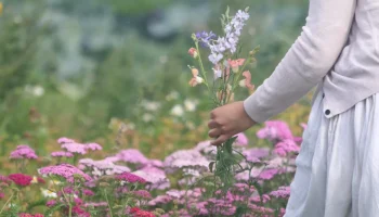 Brenda Ejderskov Heartweaver