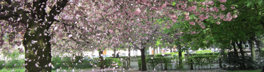 Heartweaver I Brenda Ejderskov